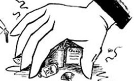 ��Ⱥ�ڲ������ࡱ�ġ����ࡱ��ɶ�� <br><br>