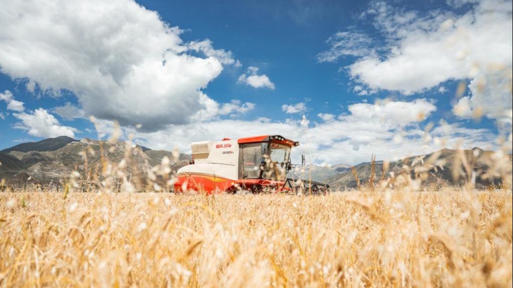 Farmers' harvest festival marked in China's Xizang