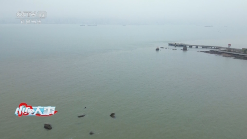 《小区大事》 20250413 海岛守护者