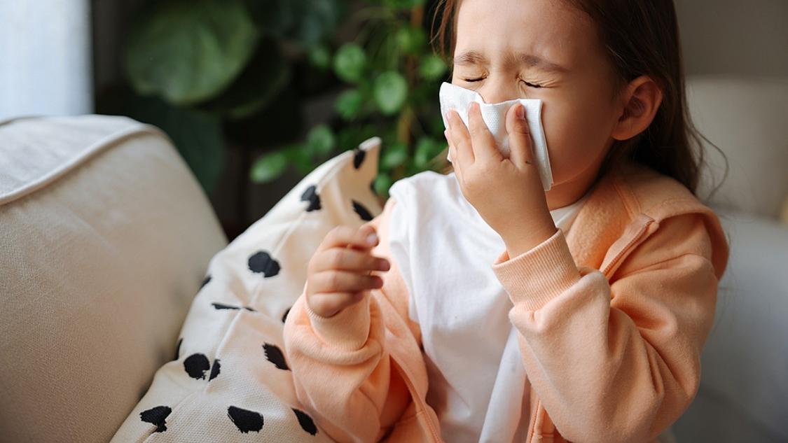 春秋过敏不同，诱因应对各有侧重