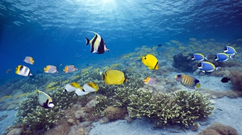 全球海洋上层2000米热含量连续9年刷新有观测记录以来最高值