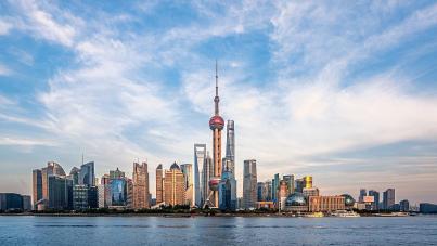 中国经济驰而不息的底气所在