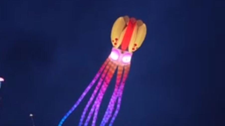 Kites hit new heights as spring gets in full swing in east China's Jiangsu