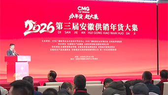 “办年货 赶大集”CMG新春消费季活动启动