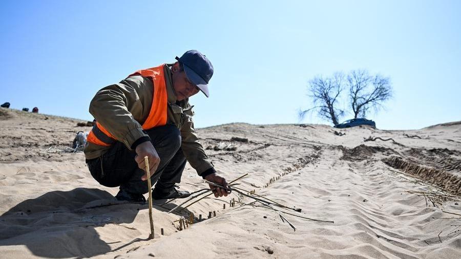 Restoring grasslands sustains both land and life in China's Inner Mongolia