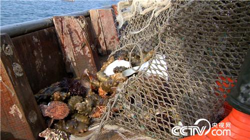 [致富经]美容院女老板改行下海 捞出千万财 20190228 