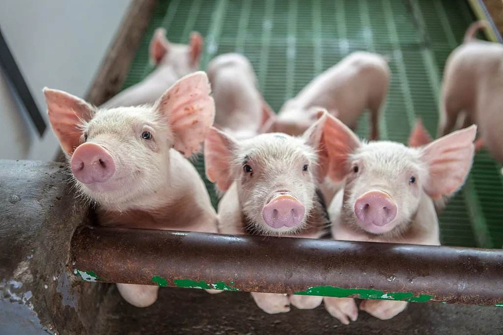 来源：视觉中国