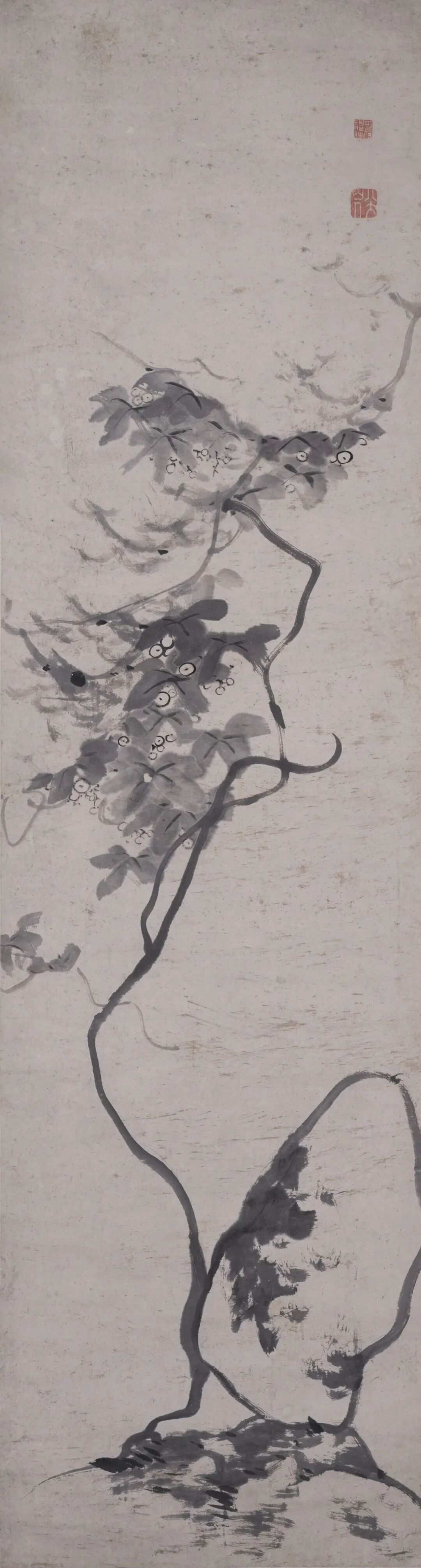 葡萄大石图  八大山人  中国画  183&times;49cm  清代  八大山人纪念馆藏