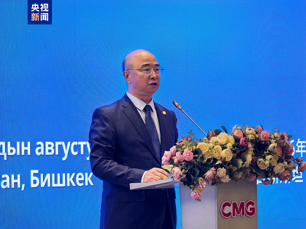 中国驻吉尔吉斯斯坦大使馆公使衔参赞李华